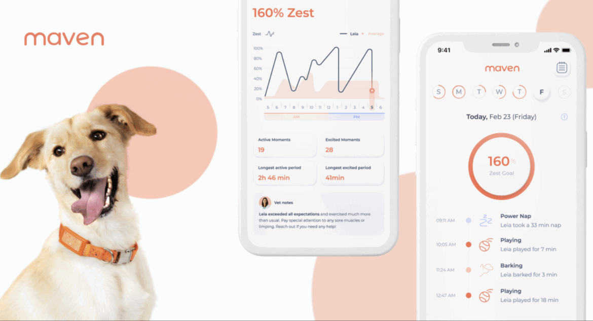 Maven Pet mobile app