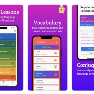 Beyond the Green Owl: Why Serious Learners Are Moving to Polychat