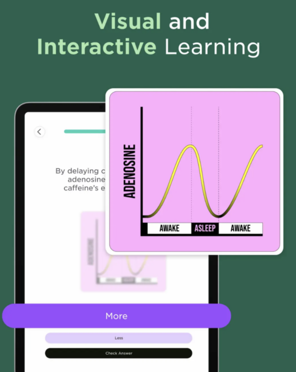 Imprint: Visual Microlearning